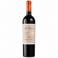 Viña Apaltagua Envero Gran Reserva (Cab-Carmenere) 750 ml
